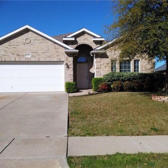 1213 Spanish Moss